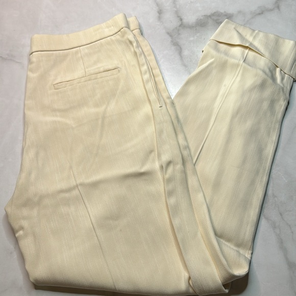 The Row Ivory Flatfront Lightweight Silk Viscose Pant - Picture 3 of 4